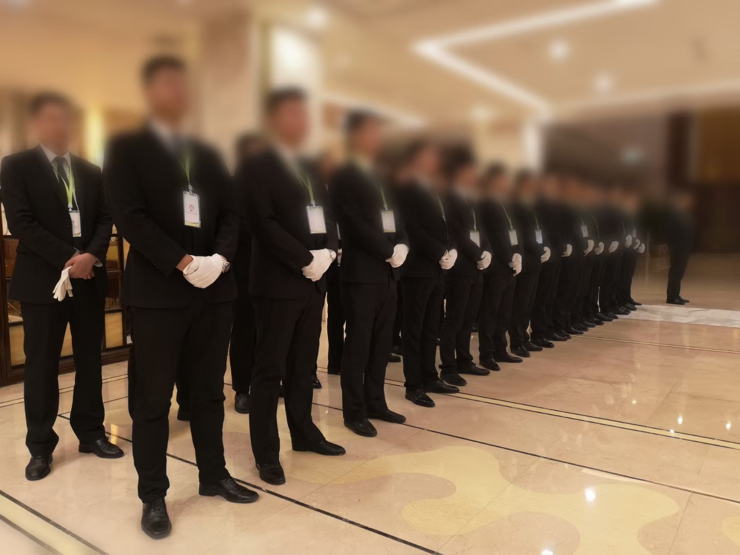 震远安保大型活动安保